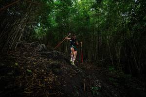 BIB: 
                            <button type="button" onclick="openModal(25102376)" class="btn btn-primary btn-sm float-right btn-popup" data-toggle="modal" data-target=".modal-high-quality">
                        <i class="fas fa-shopping-cart"></i> Add to Cart
                    </button>
                                            <button type="button" onclick="isThisMe(25102376, true)" class="btn btn-success btn-sm float-right btn-popup btn-isme hidden" data-toggle="tooltip" data-placement="bottom" title="นี่คือรูปของคุณใช่ไหม คลิกที่นี่เพื่อเอาเข้าอัลบั้ม">
                        <i class="fas fa-plus"></i> Add to album
                    </button>
                    <button type="button" onclick="isThisMe(25102376, false)" class="btn btn-warning btn-sm float-right btn-popup btn-isnotme hidden">
                        <i class="fas fa-ban"></i> Remove from album
                    </button>